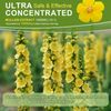 2x60ML Mullein Liquid Herbal Drops,Support Lungs,Respiratory,Immunity&Energy