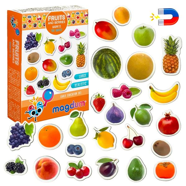 Fridge Magnets For Toddlers Magdum - 25 FRUITs&Berries Fridge Magnets -Fridge Magnets For Kids - Kids Magnets - Magnetic Shapes - Magnet Toy - Kids Magnets For Fridge - Magnets For Toddlers