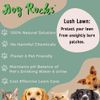 Dog Rocks Urinpflaster Preventer 200g Beutel
