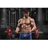 LONGJACK - Potency Man - Testosterone Booster - Tongkat - 1 Bottle