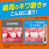 PUORA 36500 Toothbrush, Single Polish, Regular