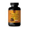 for high blood pressure - PINE BARK EXTRACT - brain supplement 1 BOTTLE