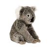 Douglas Kellen Koala Plush Stuffed Animal