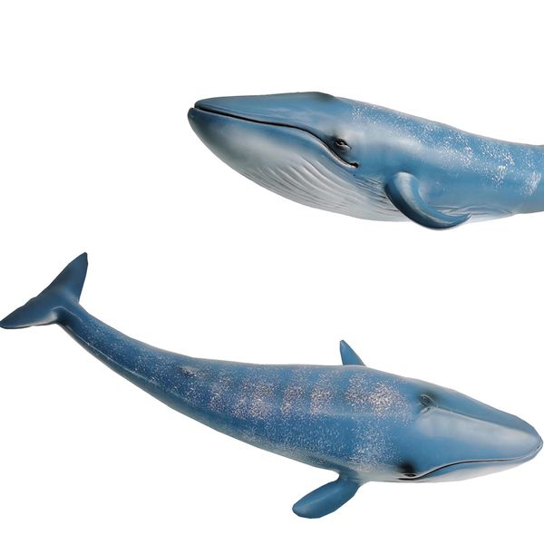 Gemini & Genius Blue Whale Sea Life Action Figure Ocean Model Toy Set Educational, Role Play, Swim, Bath and Collectors for Kids(1Pc)