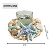 Coastal Shell Hurricane