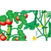 高儀 Sun Garden The Repeat Cable Ties 50pcs