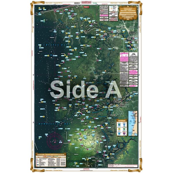 Waterproof Charts 31F Clearwater to