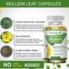 360pcs Mullein Leaf Capsules for Lung Cleansing&Detox Herbal Dietary Supplement