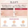 Maquillage Dramatic Cushion Jelly Case x 1