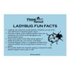 Basic Ladybug House Package by Prime Retreat