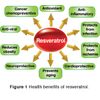 antioxidant supplement - WINE EXTRACT COMPLEX - resveratrol reserve 2B
