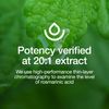 Fresh Nutrition Lemon Balm Extract Capsules.