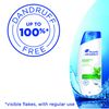Head & Shoulders Anti Dandruff Cool Menthol Shampoo, 340ml
