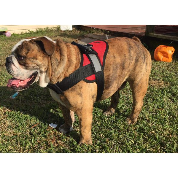 HDP Big Dog Soft No Pull Harness Size:XLarge Color:Red