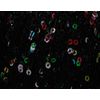 King Cole Cosmos Glitter Knitting Yarn with Sequins (Lunar 1097)