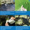 API Pond Care Algaefix 2.5 gal. Pond Algae Control 169J