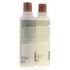Aveda Rosemary Mint Shampoo Conditioner Duo 8.5 Oz