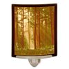 Forest sunlight color ritofein Night Light