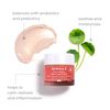 DERMA-E Pure Biome Balancing Cream, 2 OZ