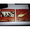 Breathe (Digipak)
