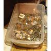 50 Different World Coins (Cool Foreign Coins!) ****NO DUPLICATE COINS!****