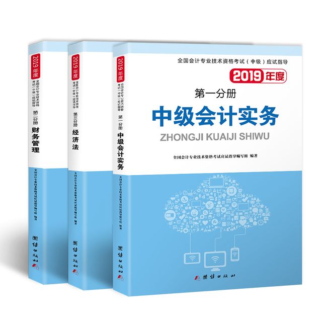 中级会计职称考试2019应试指导中级会计实务+经济法+财务管理（套装共3册）