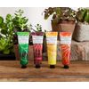 Terravita Organic 30ml Hand Cream - Olive
