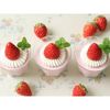 cotta Wreath Nozzle, Base, Pack of 2
