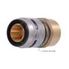 SharkBite 3/4 Inch EvoPEX Female Adapter, Push to Connect Plumbing Fitting, PEX,