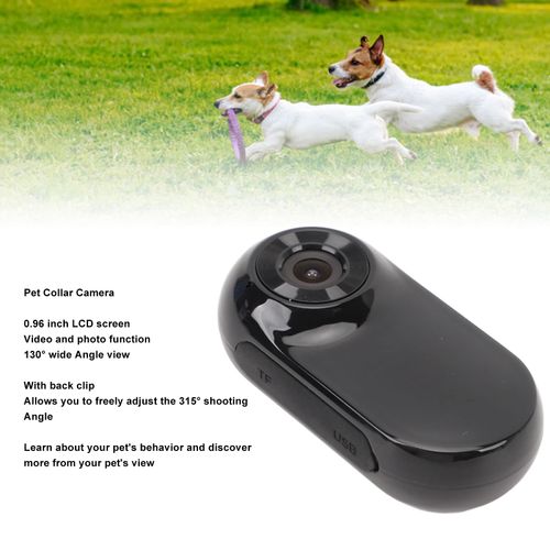 XUMIUZIY Cat Camera Collar, Pet Collar Camera with Memory Card, HD 1080P Wire Less Dog Tracker Camera Adjustable Mini Action Camera for Video Records (64GB)
