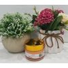 Dr Liwei VitaminC Brightening Face Cream 50g