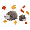 Apples to Pears Sew Me Up Creatures - Hedgehog & Hoglet