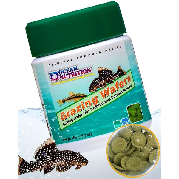 Ocean Nutrition Algae Wafers, Tropical Fish Food, Pleco Wafers, Algae Wafers for