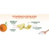 Glucosamine Chondroitin Tumeric MSM Triple Strength Joint Support 2100mg 180 Ct