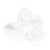 Lash FX Gift Set - Perfect Lash Kit