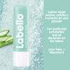 Labello Aloe Vera Organic and Vitamin E