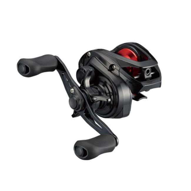 Daiwa 21 PR100