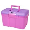 HySHINE Tack Box - Silver/Raspberry - Horse Equestrian Tack