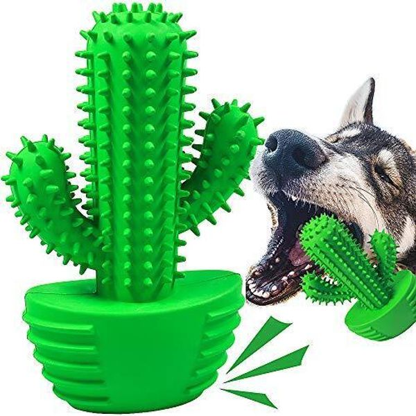 Dog Chew Toys Dog Toothbrush Stick Teeth Cleaning Brush Dental for Medium