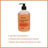 McKesson Antibacterial Soap with Pump Bottle, Clean Scent, 18 oz, 1 Count