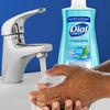 Dial 05400 7.5 Oz Spring Water Anti-Bacterial Foaming Hand Soap 2-Pack
