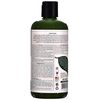 Bio Creative Lab Petal Fresh Shampoo, Tea Tree, 16 Ounce