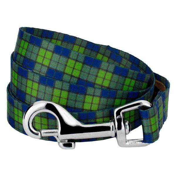 Country Brook Petz - 1/2 Inch Blue and Green Plaid Dog Leash - 4 Feet