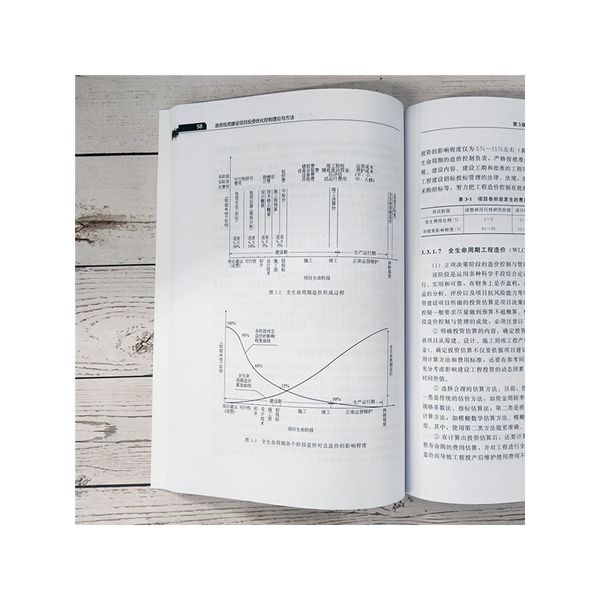 政府投资建设项目投资优化控制理论与方法