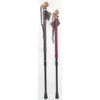 Hiking Cane Telescopic Pins, Brown