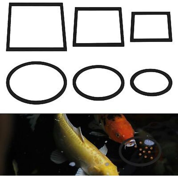 6pcs Fish Feeding Rings, Aquarium Floating Plant Round & Square Fish...