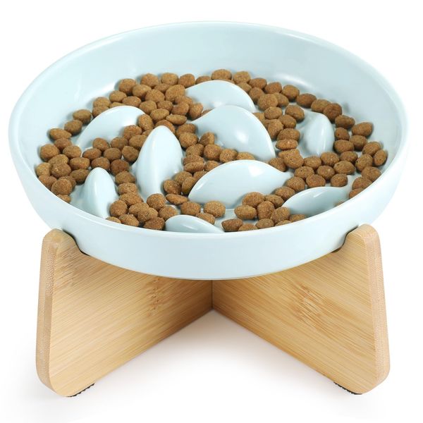 HAPPY HACHI Raised Cat Bowl, Ceramic Slow Feeder Cat Bowl, with Wooden Stand, Elevated Cat Slow Eating bowl Wet Food with Non-Slip Strip, Cat Food Bowl Eating Interactive for Puppies Kittens (Green)