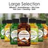 Artizen 2oz Oils - Cinnamon Essential Oil - 2 Fluid Ounces