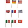 Beistle International Flag Picks, Paper, Multicolor
