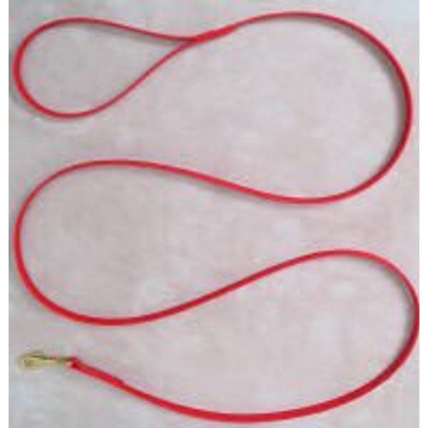 Red Dog Leash 6 Foot 1/2" Wide Beta Biothane